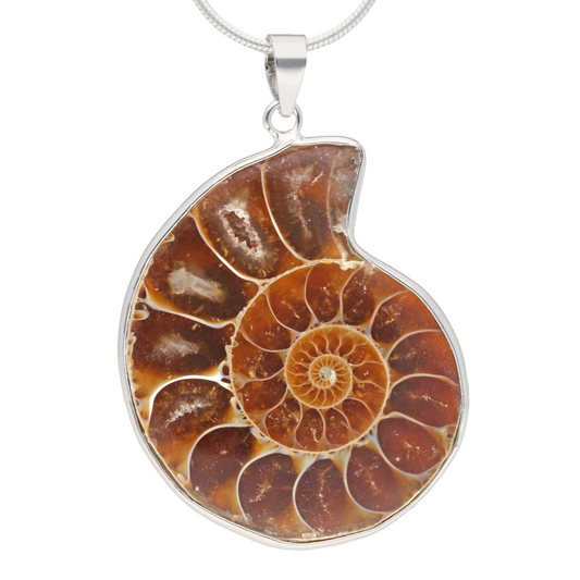 Ammonit Anhänger 2-3 cm | Natürliches fossil mit 925er Silberöse | Inklusive schwarzem Baumwollband