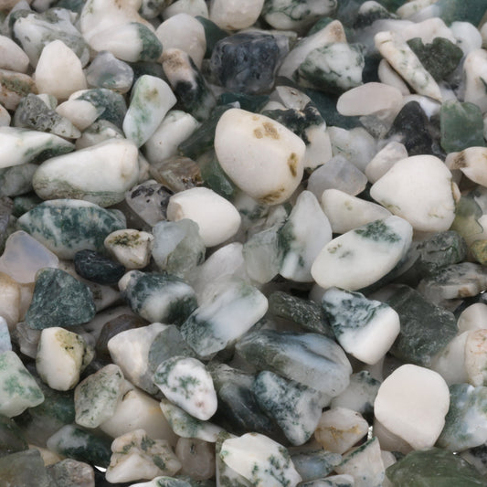 Tree agate mini tumbled stones