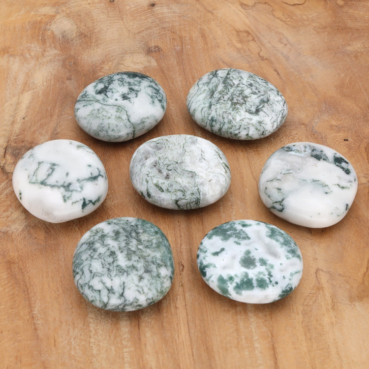 Tree agate disc stone
