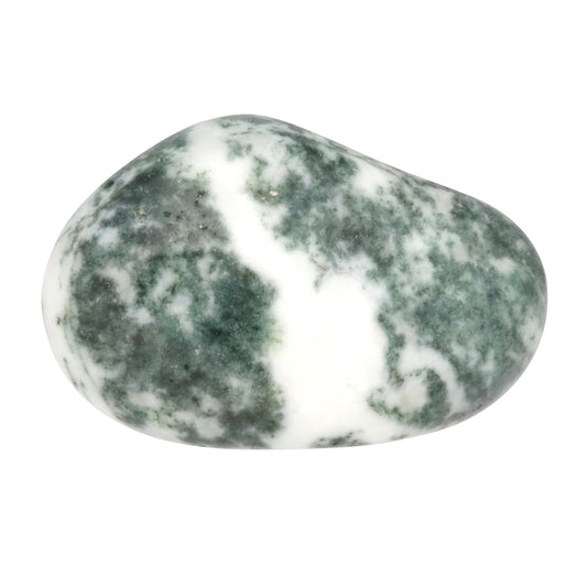 Tree agate tumbled stone