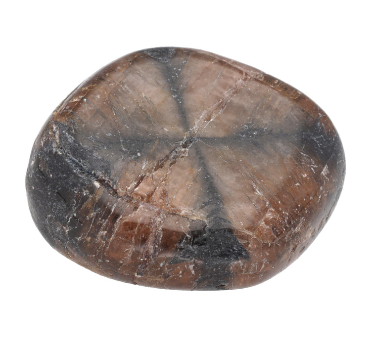 Chiastolite tumbled stone