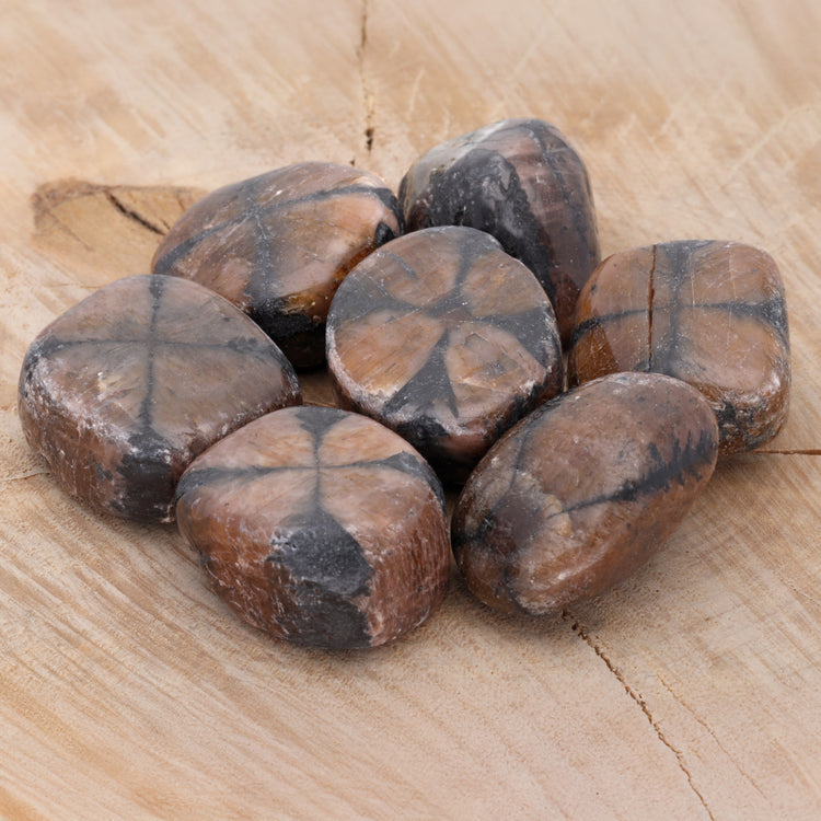 Chiastolite tumbled stone