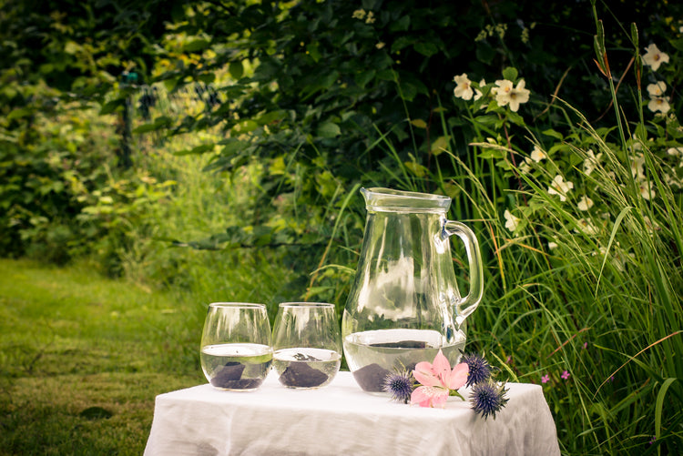 Shungite water stones