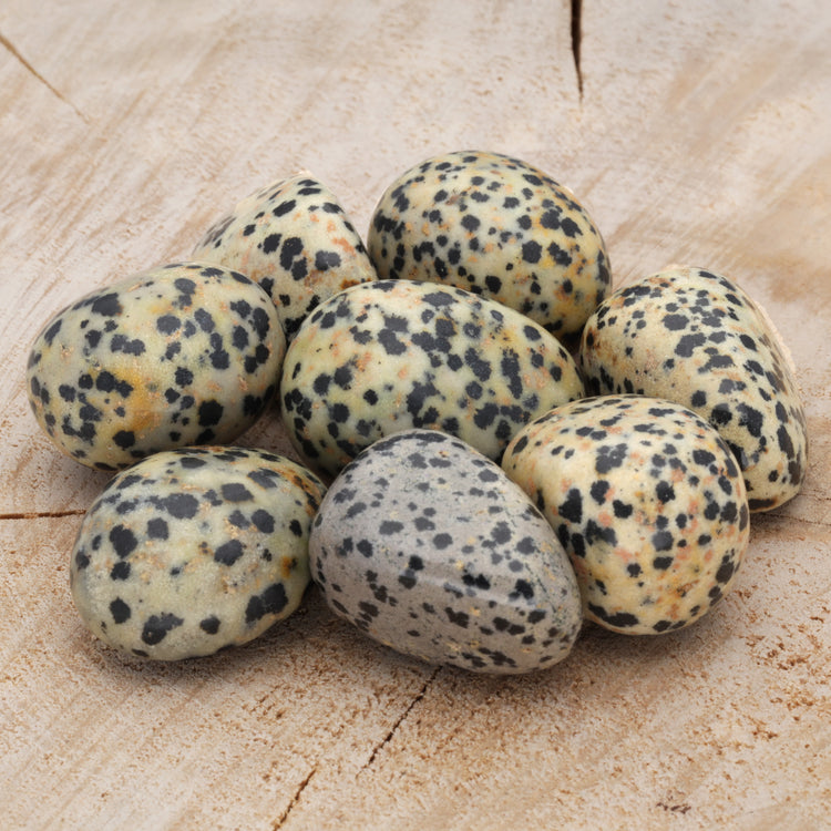 Dalmatian stone tumbled stone