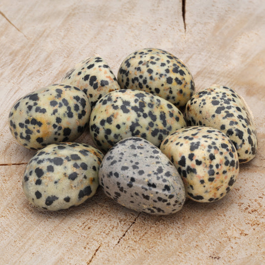 Dalmatian stone tumbled stone
