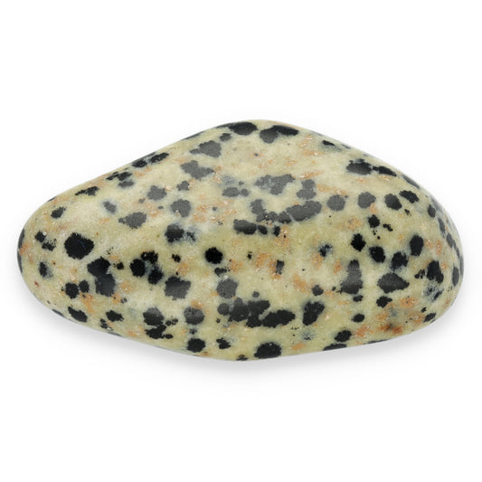 Dalmatian stone tumbled stone