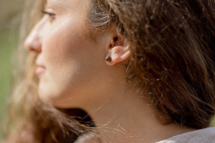 Petrified wood stud earrings 6 mm | 925 silver