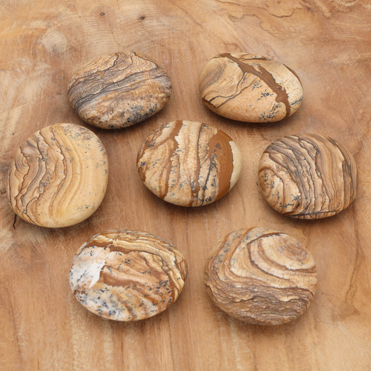 Landscape Jasper Disc Stone