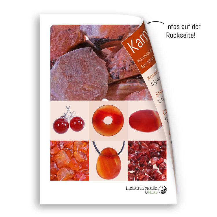 Carnelian | Double point, set | silver-colored eyelet