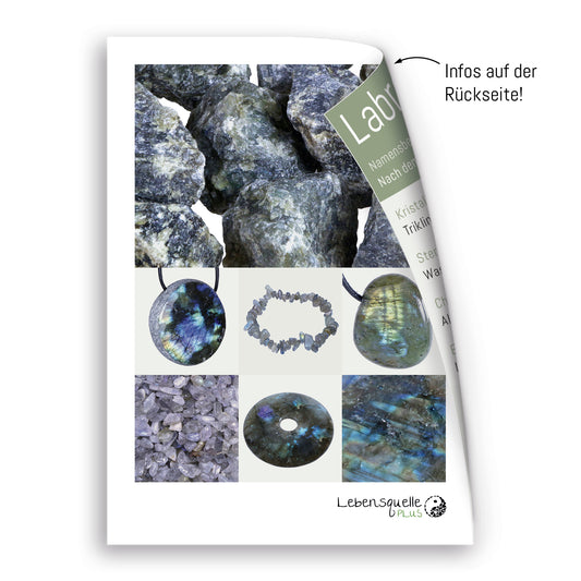 Labradorite | Double point, set | silver-colored eyelet