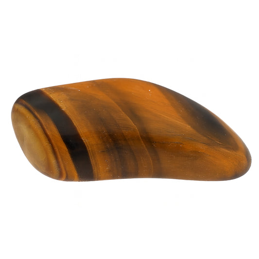 MAIN polished