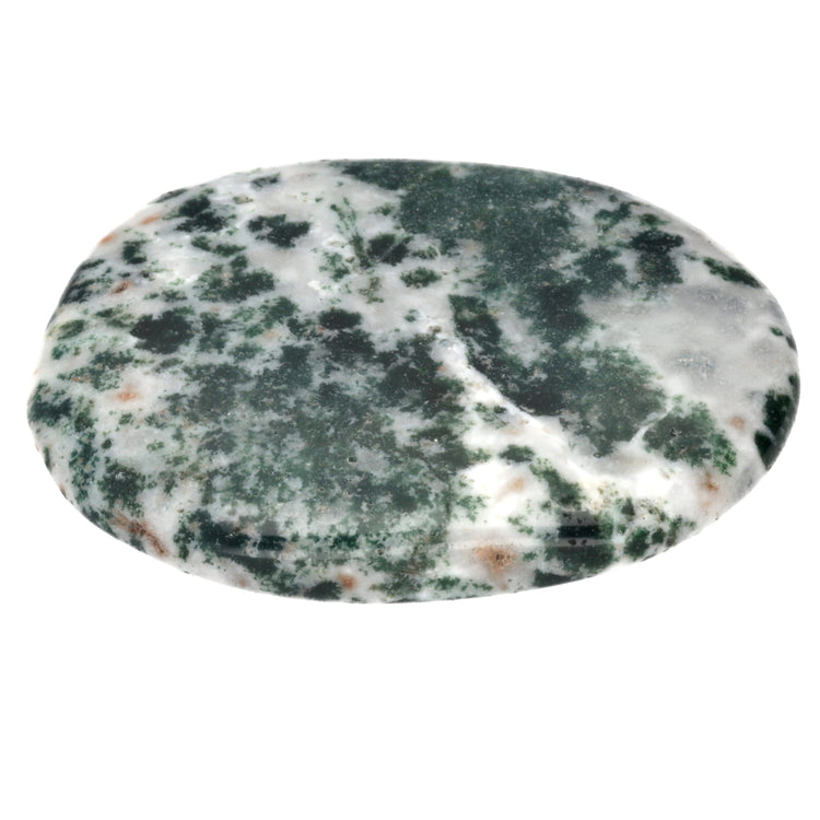 Tree agate disc stone