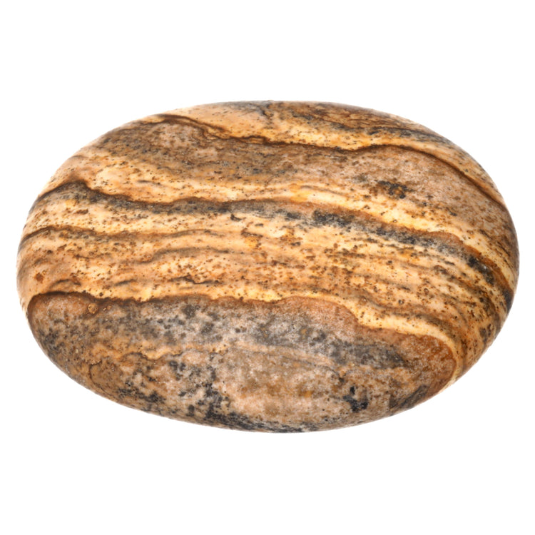 Landscape Jasper Disc Stone