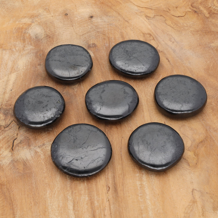 Shungite disc stone