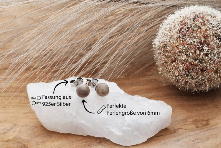 Petrified wood stud earrings 6 mm | 925 silver