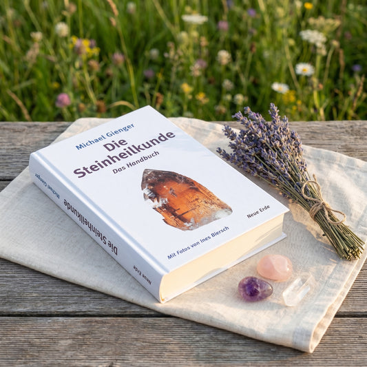 Die Steinheilkunde- Das Handbuch — Tragebild