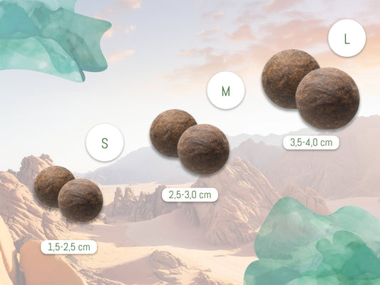 Moqui Marbles "Size M" 2.5 - 3.0 cm