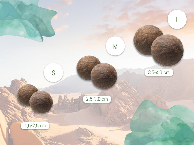 Moqui Marbles "Size M" 2.5 - 3.0 cm