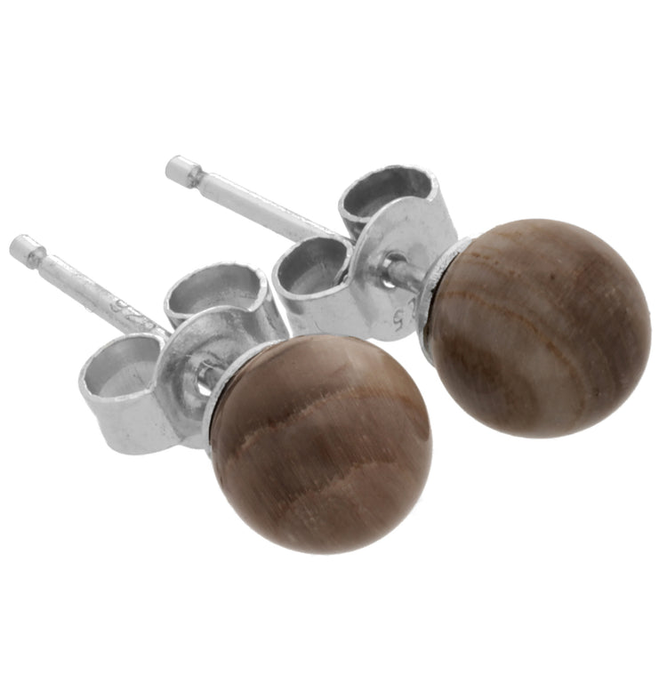 Petrified wood stud earrings 6 mm | 925 silver