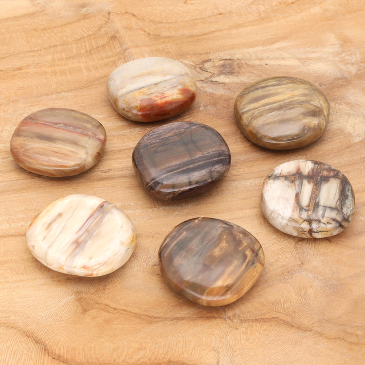 Petrified wood disc stone