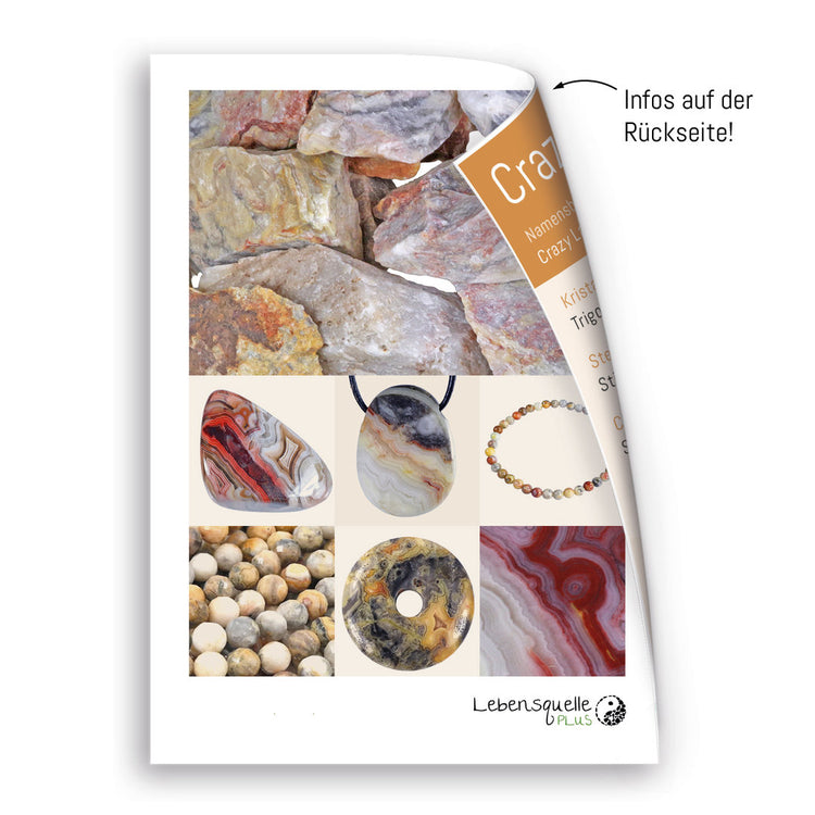 Crazy Lace Achat Scheibenstein