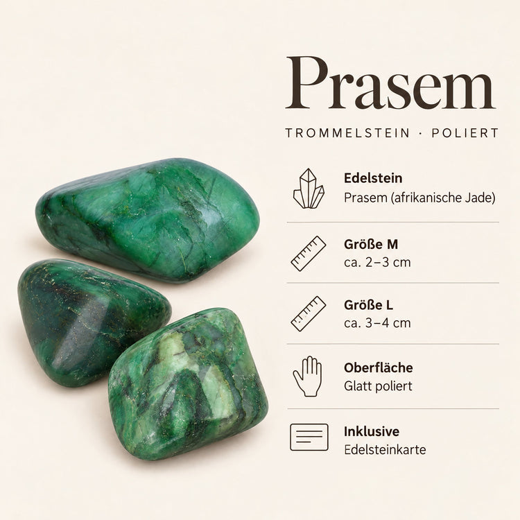 Steckbrief Prasem Trommelstein – Größe M ca. 2–3 cm, L ca. 3–4 cm