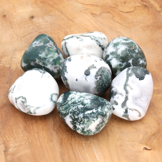 Tree agate tumbled stone