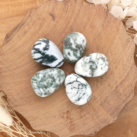 Tree agate drop pendant