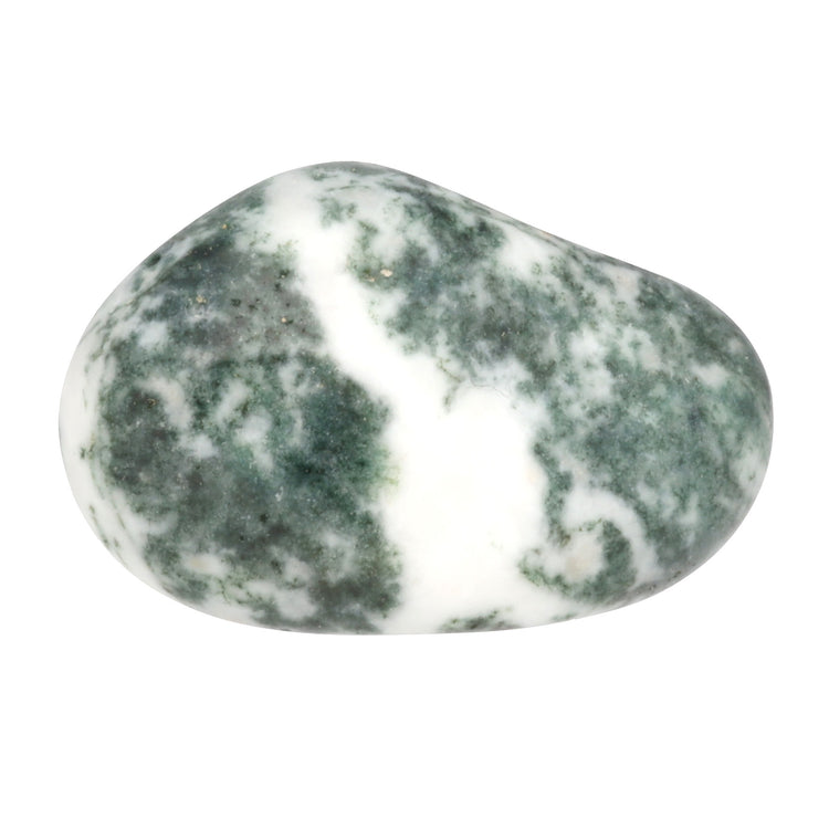 Tree agate tumbled stone