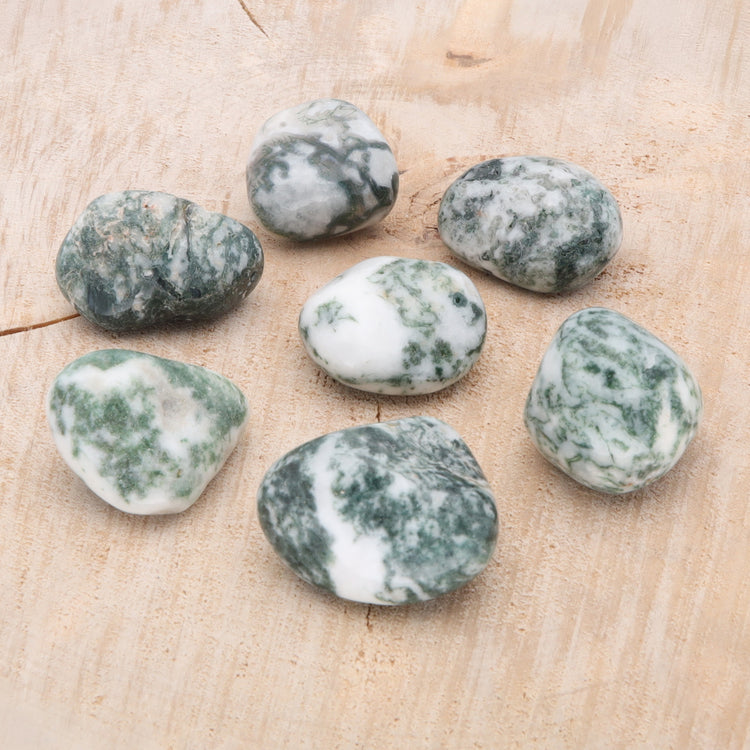 Tree agate tumbled stone