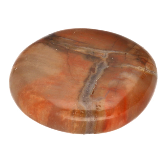 Petrified wood disc stone