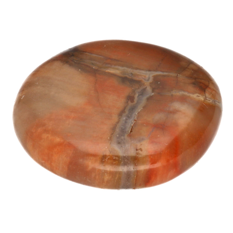 Petrified wood disc stone