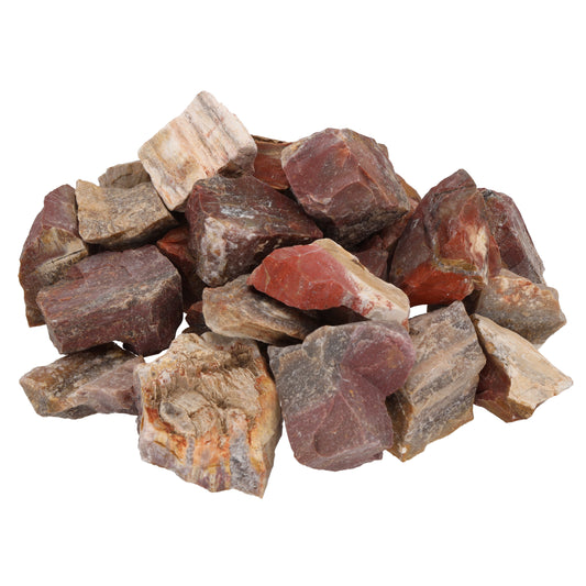 Petrified wood water stones
